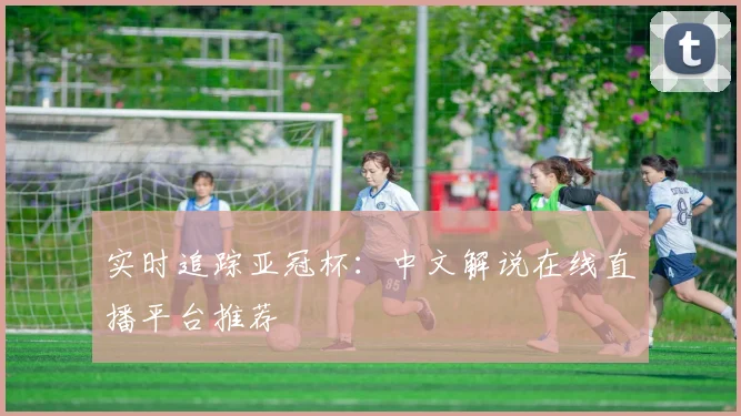 实时追踪亚冠杯：中文解说在线直播平台推荐