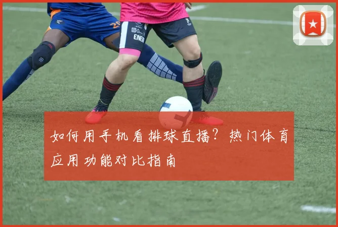 如何用手机看排球直播？热门体育应用功能对比指南