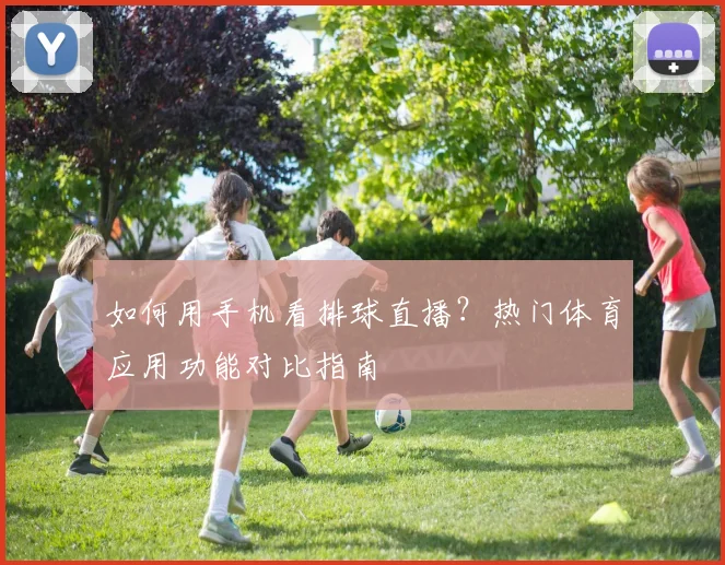 如何用手机看排球直播？热门体育应用功能对比指南