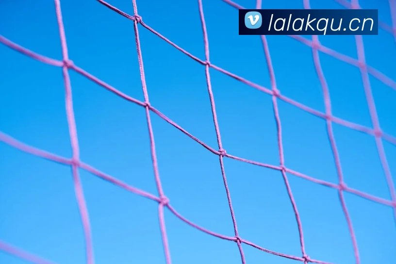 开云手机入口发展历程